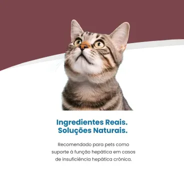 Racao Umida Vet Life Hepatic para Gatos Adultos 4